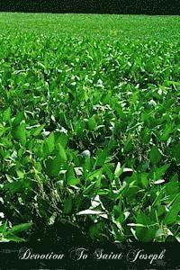 Father Joseph Anthony Patrignani - Devotion To Saint Joseph, Häftad