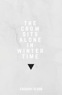 bokomslag crow sits alone in winter time