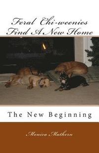 bokomslag Feral Chi-weenies Find A New Home: The New Beginning