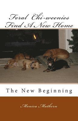 Feral Chi-weenies Find A New Home: The New Beginning 1