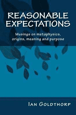 bokomslag Reasonable Expectations: Musings on metaphysics, origins, meaning and purpose