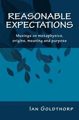 Ian Goldthorp - Reasonable Expectations: Musings on metaphysics, origins, meaning and purpose, Häftad