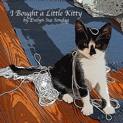 Evelyn Sue Sondag - I Bought a Little Kitty, Häftad