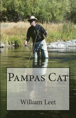 Pampas Cat 1