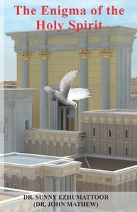 bokomslag Enigma of the Holy Spirit