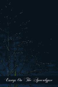 James J. L. Ratton - Essays On The Apocalypse, Häftad