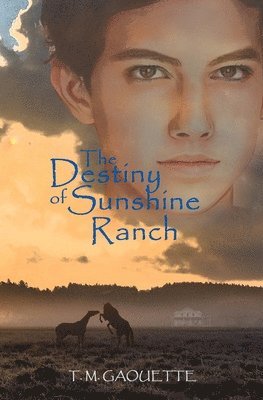 bokomslag The Destiny of Sunshine Ranch