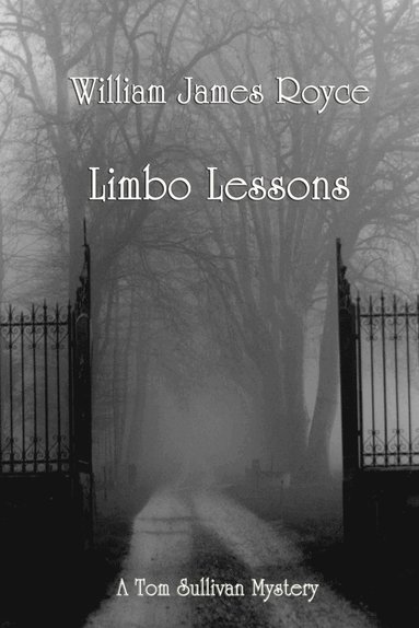 bokomslag Limbo Lessons