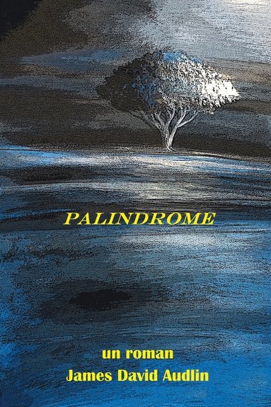 bokomslag Palindrome