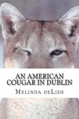 bokomslag American Cougar in Dublin