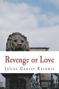 bokomslag Revenge or Love