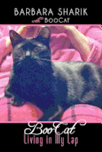 BooCat: Living in My Lap