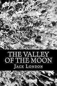 bokomslag The Valley of the Moon