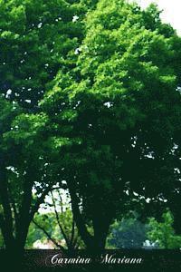 Orby Shipley M. a. - Carmina Mariana: An English Anthology In Verse In Honour Of Or In Relation To The Blessed Virgin Mary, Häftad