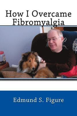 bokomslag How I Overcame Fibromyalgia