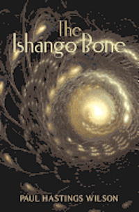 bokomslag The Ishango Bone