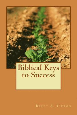 bokomslag Biblical Keys to Success