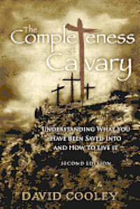 bokomslag The Completeness of Calvary: Understanding What You Have Been Saved Into and How To Live It