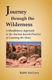 bokomslag Journey Through the Wilderness: A Mindfulness Approach to the Ancient Jewish Practice of Counting the Omer