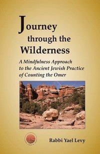 bokomslag Journey Through the Wilderness: A Mindfulness Approach to the Ancient Jewish Practice of Counting the Omer