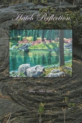 Mary-Helen Leet - Hatch Reflection, Häftad