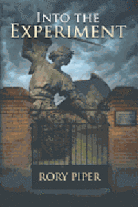 bokomslag Into the Experiment