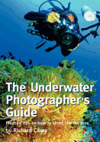 bokomslag The Underwater Photographer's Guide: Practical tips on how to shoot like the pros