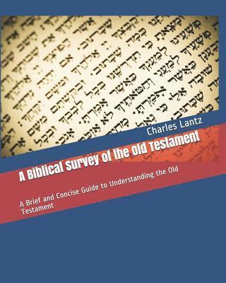 bokomslag A Biblical Survey of the Old Testament: A Brief and Concise Guide to Understanding the Old Testament