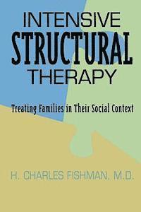 bokomslag Intensive Structural Therapy: Treating Families in Their Social Context