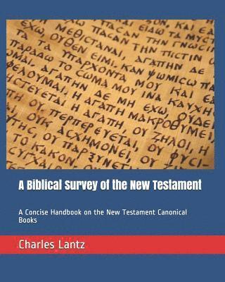 A Biblical Survey of the New Testament: A Concise Handbook on the New Testament Canonical Books 1