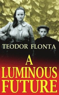 bokomslag Luminous Future