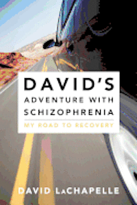 bokomslag David's Adventure with Schizophrenia: My Road to Recovery