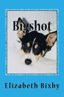 Elizabeth a. Bixby - Bigshot, Häftad. Tillgänglighet: Lägg i varukorg