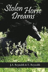 bokomslag Stolen Horse Dreams