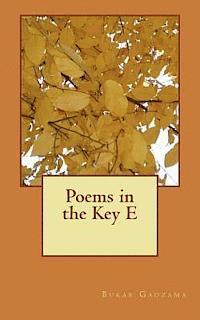 bokomslag Poems in the Key E