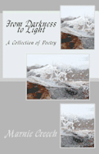 bokomslag From Darkness to Light: A Collection of Poetry