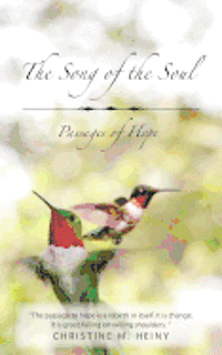 bokomslag The Song of the Soul Passages of Hope: Passages of Hope