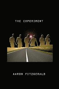 Aaron Fitzgerald - The Experiment, Häftad