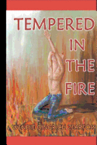 Wendie Gingrich Zearfoss - Tempered in the Fire, Häftad