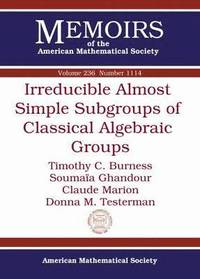 bokomslag Irreducible Almost Simple Subgroups of Classical Algebraic Groups