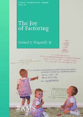 bokomslag Joy of Factoring