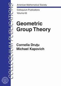 bokomslag Geometric Group Theory