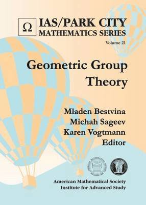 bokomslag Geometric Group Theory