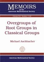 bokomslag Overgroups of Root Groups in Classical Groups