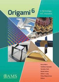 bokomslag Origami 6