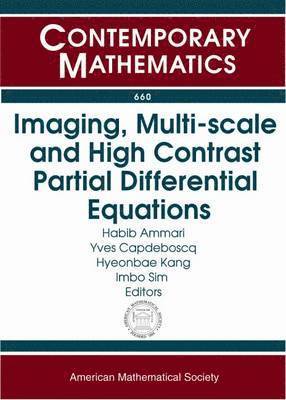 bokomslag Imaging, Multi-scale and High Contrast Partial Differential Equations