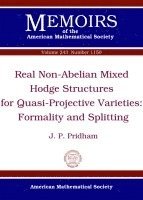 bokomslag Real Non-Abelian Mixed Hodge Structures for Quasi-Projective Varieties