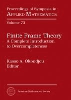 bokomslag Finite Frame Theory