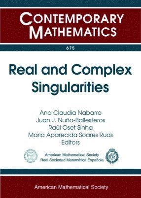 bokomslag Real and Complex Singularities