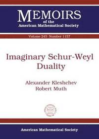 bokomslag Imaginary Schur-Weyl Duality